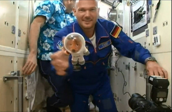 Stallwächterparty 2018 ARTEN VIELFALT LEBEN Der Künzelsauer Astronaut Alexander Gerst @Astro_Alex grüßt über Twitter von der Internationalen Raumstation die Gäste der Stallwächter Party. Angezeigt wurde die Nachricht für alle sichtbar auf der Social Media Wall der Landesvertretung. Gerst macht in seinem Tweet auch auf das Projekt ICARUS zur Beobachtung von Tierwanderung aus dem All aufmerksam.