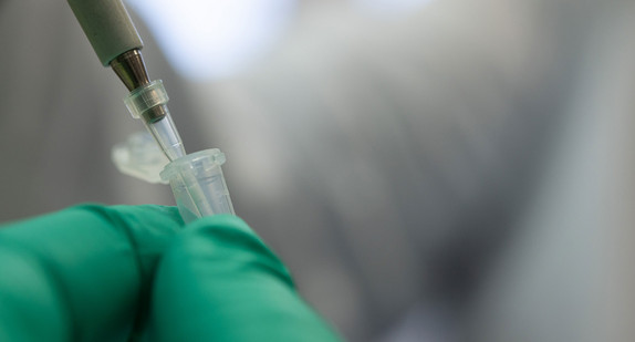 Forscher bereitet PCR-Test-Probe für Laboranalyse vor