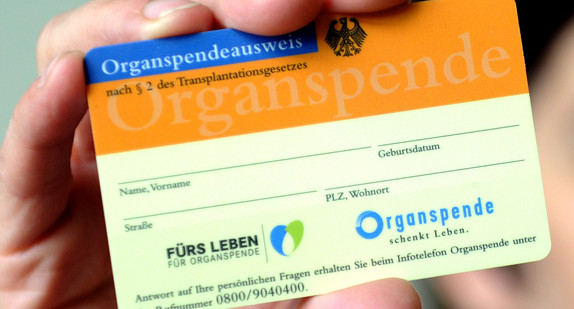 Eine Person hält einen Organspendeausweis in der Hand. (Foto: Caroline Seidel / dpa)