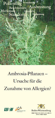 Titelblatt mit Bild einer Ambrosia-Pflanze