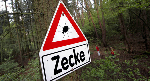 Warnschild vor Zecken am Waldrand (Foto: Frank Rumpenhorst / dpa)