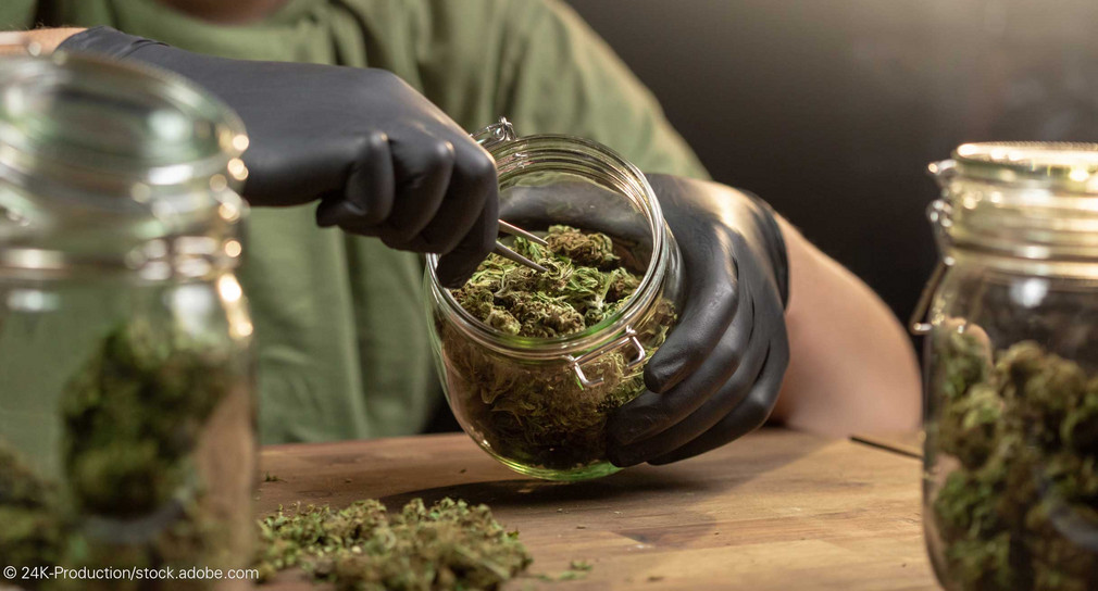 Eine Person portioniert mit einer Pinzette getrocknete Cannabisblüten