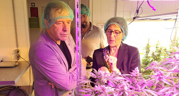 Thomas Marwein MdL und Staatssekretärin Dr. Ute Leidig betrachten Cannabis-Pflanzen beim Offenburger Cannabis Club.