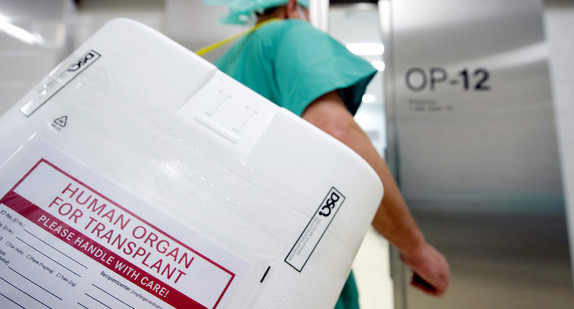 Ein Styropor-Behälter zum Transport von zur Transplantation vorgesehenen Organen wird am Eingang eines OP-Saales vorbeigetragen